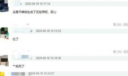 陈赫爆料借钱视频大全最新,揭秘娱乐圈借款风波背后的真相